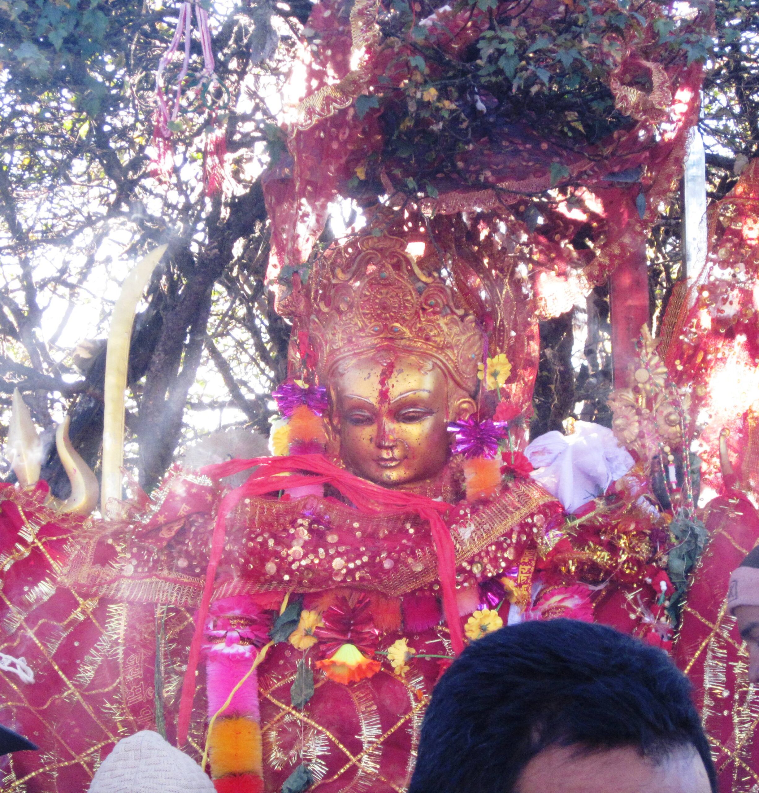 Statue_of_Pathibhara_Devi