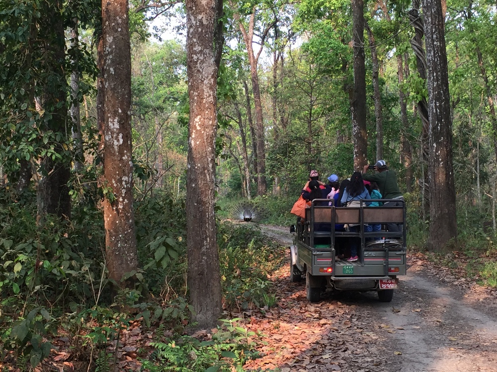 Chitwan-National-Park