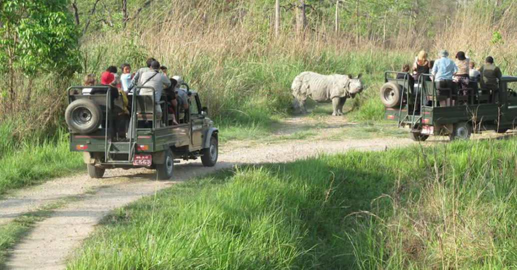 chitwan-jeep-safari-1035x540-12024-06-27-06-10-07