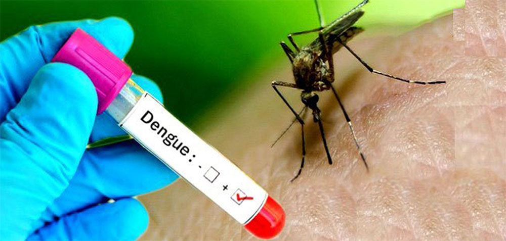 dengue